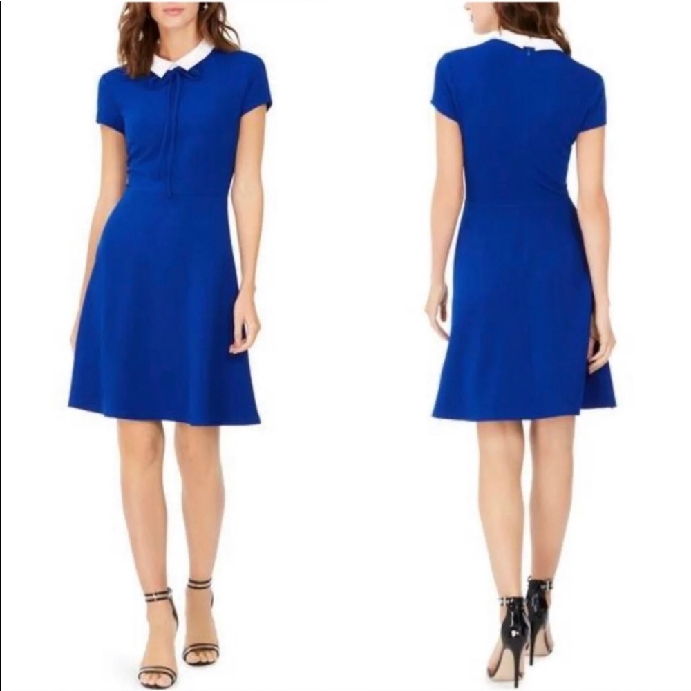 Sapphire Blue with a fun white collar!